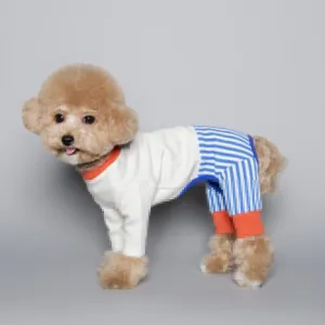 Pet Dog Fashion Color Blocking Jumpsuit